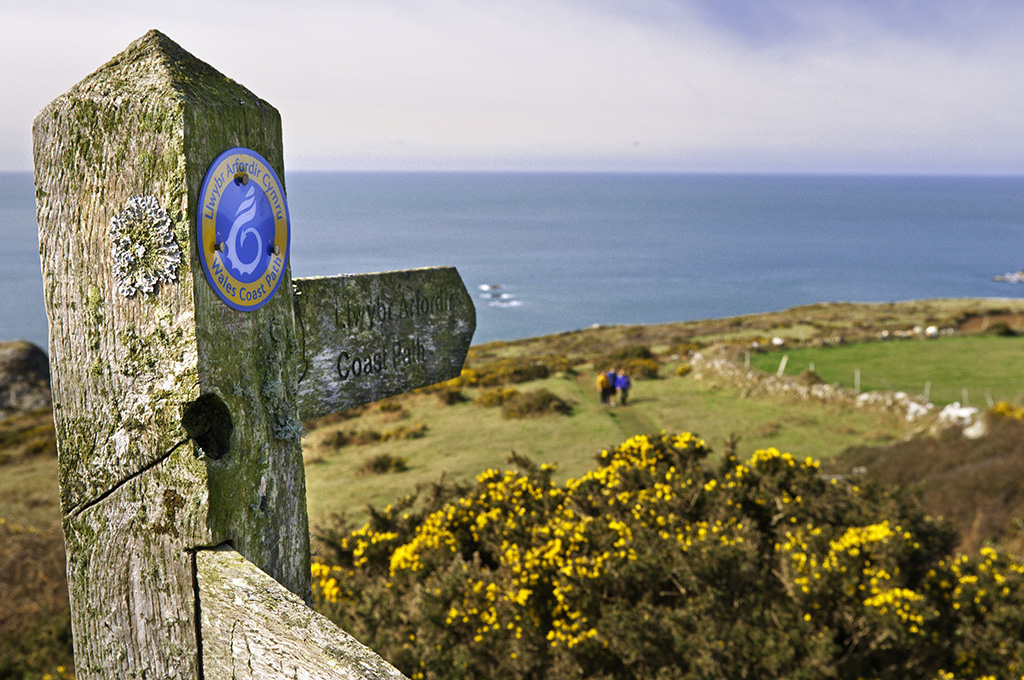 Coast Path